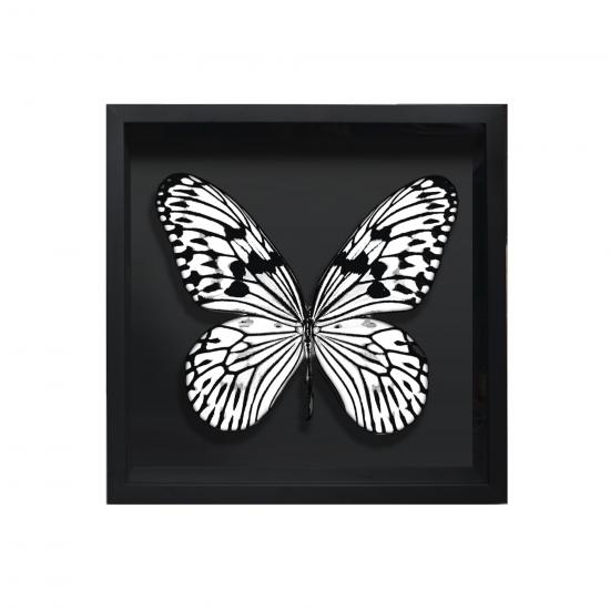 BORBOLETA BRANCA III BOX PRETO P