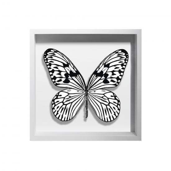 BORBOLETA BRANCA III BOX BRANCO P