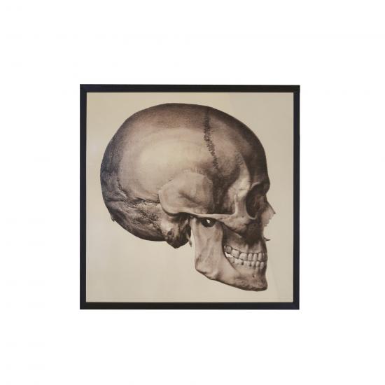 QUADRO SKULL SIDE MIRROR P