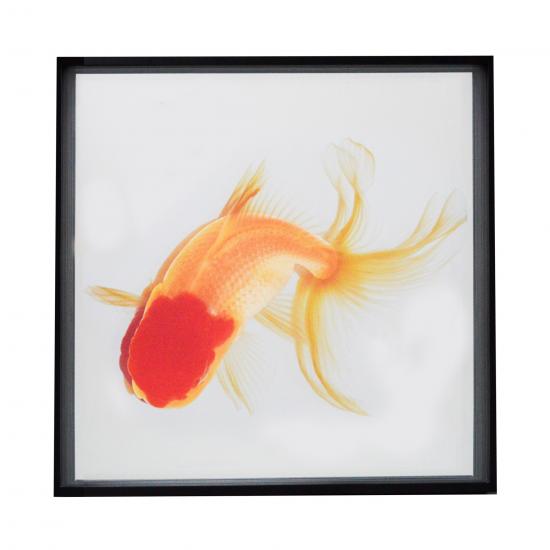 QUADRO PEIXE DOURADO G III