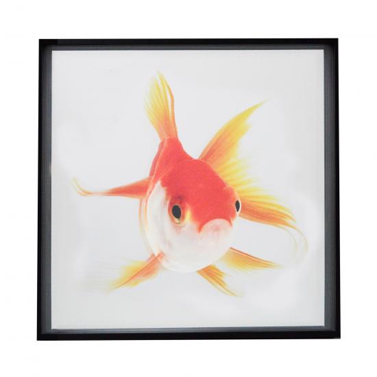 QUADRO PEIXE DOURADO G IV