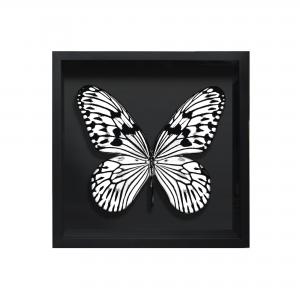 BORBOLETA BRANCA III BOX PRETO P