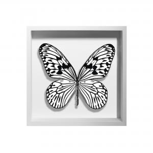 BORBOLETA BRANCA III BOX BRANCO P