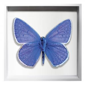 BORBOLETA AZUL IV BOX BRANCO G