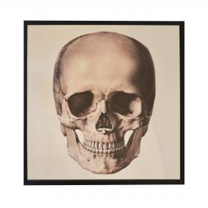 QUADRO SKULL FRONT MIRROR G