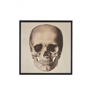 QUADRO SKULL FRONT MIRROR P