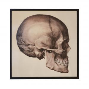 QUADRO SKULL SIDE MIRROR G