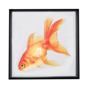 QUADRO PEIXE DOURADO G I