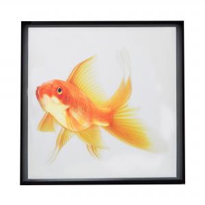 QUADRO PEIXE DOURADO G II