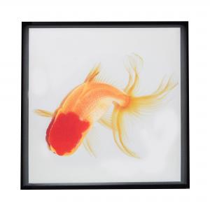 QUADRO PEIXE DOURADO G III