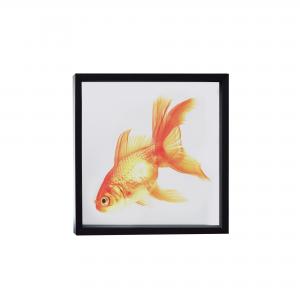 QUADRO PEIXE DOURADO M I