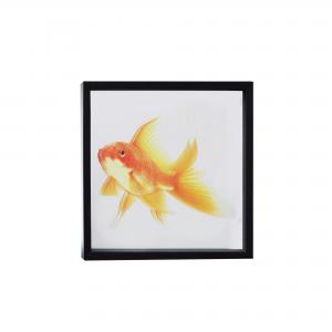 QUADRO PEIXE DOURADO M II