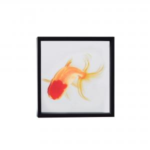 QUADRO PEIXE DOURADO M III