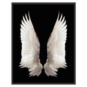 QUADRO WINGS