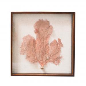 QUADRO CORAL NATURAL COM LINHO