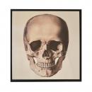 QUADRO SKULL FRONT MIRROR G 1