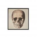 QUADRO SKULL FRONT MIRROR P 1