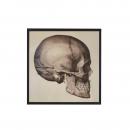 QUADRO SKULL SIDE MIRROR P 1